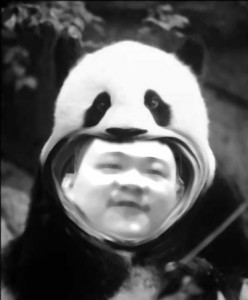 Yang in Panda Suit